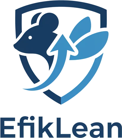 EfikLean Logo